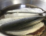 新鮮小羽イワシで自家製オイルサーディン作り方1写真