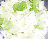 あっという間に無くなる！白菜の塩昆布和え作り方7写真