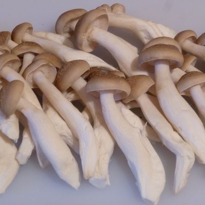 ☆しめじのエコな処理法to冷凍保存☆ by rie-tin 【クックパッド