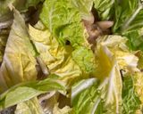 白菜づくしの煮込みハンバーグ作り方7写真