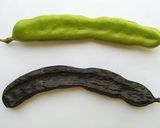 キャロブクッキー作り方3写真