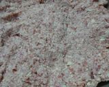 調理師直伝！豆腐入りヘルシーロール白菜だ作り方3写真