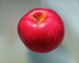 せいろで果物もイケる♪魅力的な蒸し林檎🍎作り方1写真