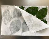 最短3日簡単綺麗に仕上がる桜葉の塩漬け　作り方5写真