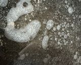 豚バラの角煮♪作り方4写真