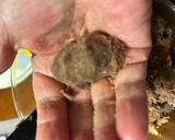 米粉　サクふわナッツ&チョコクッキー作り方3写真