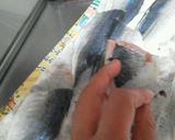 簡単なアジの握り寿司作り方4写真