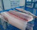 ✿タチウオの干物作り方5写真