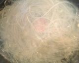 かんたん 塩麹入りベジタリアンチェプチェ作り方1写真