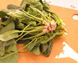 ほうれん草の胡麻和え作り方1写真
