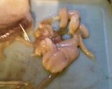 烏賊のさばき方①本体作り方5写真