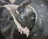 身も心も温まるメジナとイサキの味噌汁作り方11写真
