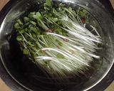 簡単！カイワレ大根の浅漬け作り方1写真