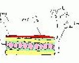フレジェ作り方6写真