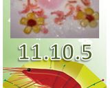 とにかく可愛く目玉焼♪お花をＯＮ♪No３作り方4写真