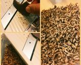 簡単！リアルなカブトムシの幼虫　2012作り方1写真