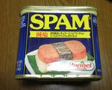 白菜とスパムのシンプル炒め~作り方1写真