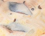 簡単・上手いな！秋鮭のクリーム煮込み作り方4写真