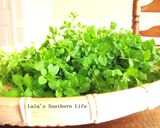 春を食べる！ハコベの白和え作り方1写真