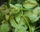 さつま芋の葉の食べるラー油炒め作り方2写真