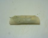 餃子の皮で☆海老と大葉の簡単ミニ春巻き作り方4写真