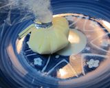 便利☆お弁当マヨ☆作り方3写真