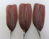簡単でも本格的いわしの酢漬け作り方1写真