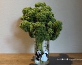 目指せ、デリ風♫イタリアンきんぴら作り方12写真