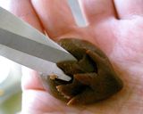 バレンタイン♪はりねずみクッキー☆作り方8写真