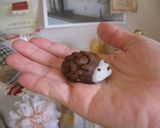 バレンタイン♪はりねずみクッキー☆作り方14写真