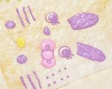 うさぎキティのイチゴケーキ♡イースターも作り方11写真