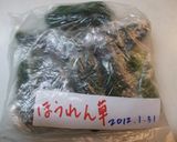 ほうれん草（葉もの野菜）の冷凍　保存方法作り方11写真