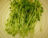 鰆焼き・豆苗のあんかけ！作り方4写真
