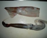 烏賊（イカ）の　”くち”　を食する作り方2写真