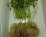 シンプル・豆苗入り玉子焼き！作り方2写真