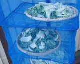 干し白菜で！簡単！自家製キムチ作り方1写真