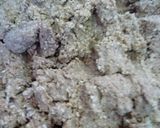 我が家の「手前味噌」作り作り方5写真