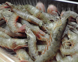 じゃこエビのから揚げ（した処理の仕方も）作り方1写真