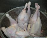韓国鶏料理❀参鶏湯（サムゲタン）作り方1写真
