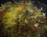 うちの炒り豆腐作り方13写真