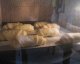 しっとりふかふかバターロール★～HB～作り方8写真