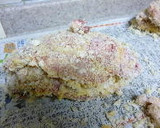 とんかつって　結構簡単なのよ♥作り方5写真