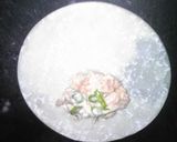 揚げシーチキン餃子作り方2写真