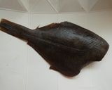 カレイの唐揚げ作り方1写真