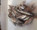 小いわしでサッパリ美味しいお刺身を作り方6写真