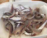 小いわしでサッパリ美味しいお刺身を作り方7写真