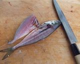 生姜たっぷり鯵のタタキひと手間で黄金の味作り方3写真