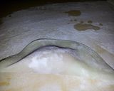 えびの水餃子作り方3写真
