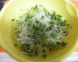 大根カイワレねこぶまんまで☆酢のもの作り方3写真