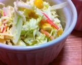 簡単！コールスロー作り方3写真